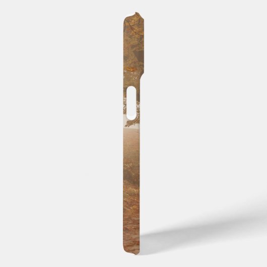 Najaar Trees Woodland Path Case-Mate iPhone Case (Achterkant / Rechts)