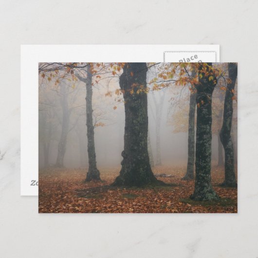Najaar uitzicht van het bos met foggy, grootvader  briefkaart (Voorkant / Achterkant)