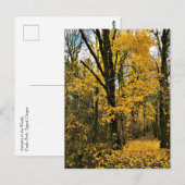 Najaar van de Bossen Briefkaart (Voorkant / Achterkant)