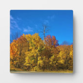 Najaar West Bend, Wisconsin Fotoplaat (Voorkant)