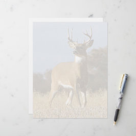 Najaar — Whitetail Buck