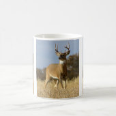 Najaar — Whitetail Buck Koffiemok (Center)