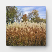 Najaar Wisconsin Fotoplaat (Voorkant)