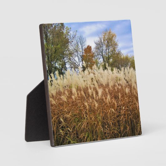 Najaar Wisconsin Fotoplaat (Voorkant)