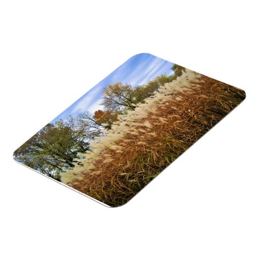 Najaar Wisconsin Magneet (Linkerzijde)