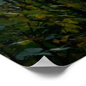 Najaar Woodland Path met Sunrays Poster (Hoek)