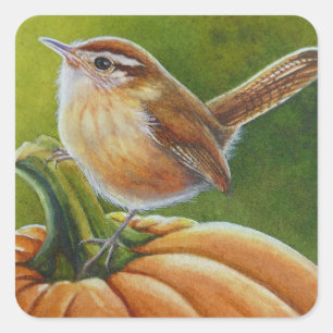 Najaar Wren Bird op Sinaasappel Pumpkin Waterverf  Vierkante Sticker