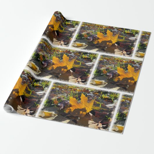 Najaarblad in de zon cadeaupapier (Uitgerold)