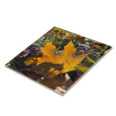 Najaarblad in de zon tegeltje (Zijkant)