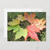 Najaarbladeren Briefkaart (Voorkant / Achterkant)