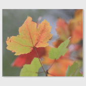 Najaarbladeren Cadeaupapier (Vlak)