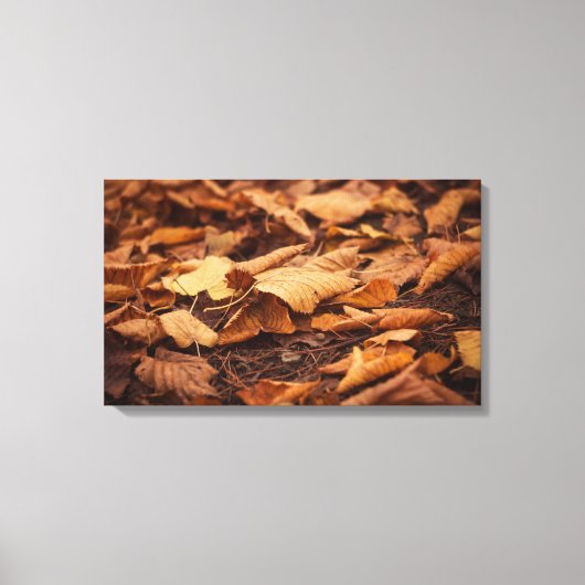 Najaarbladeren Canvas Afdruk (Voorkant)