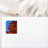 Najaarbladeren Etiket (Insitu)