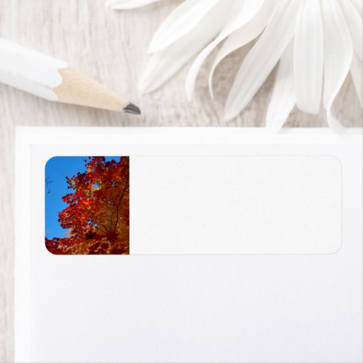 Najaarbladeren Etiket (Insitu)