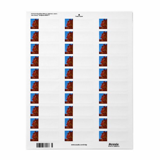 Najaarbladeren Etiket (Full Sheet)