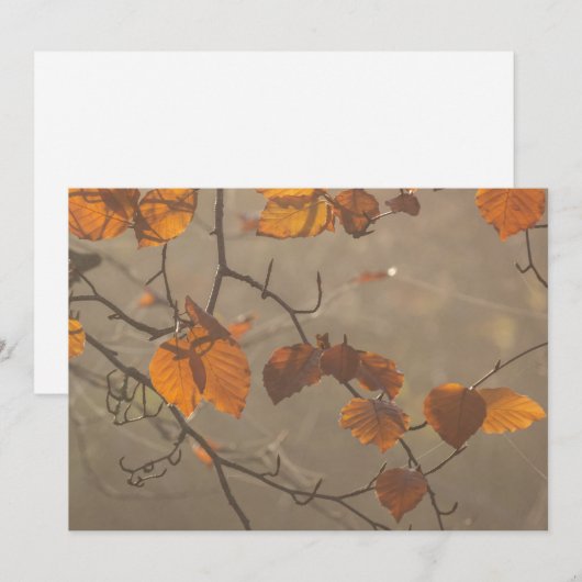 Najaarbladeren Feestdagenkaart (Voorkant / Achterkant)