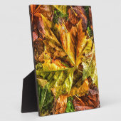 Najaarbladeren Fotoplaat (Zijkant)