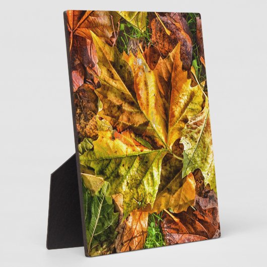Najaarbladeren Fotoplaat (Zijkant)