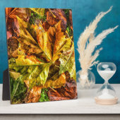 Najaarbladeren Fotoplaat (Zijkant)