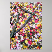 Najaarbladeren op de grond poster (Voorkant)