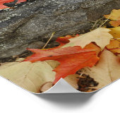 Najaarbladeren op steenwand, Man van de Minuut Poster (Hoek)