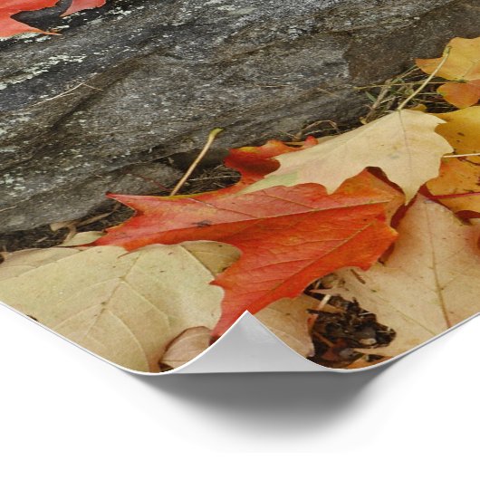 Najaarbladeren op steenwand, Man van de Minuut Poster (Hoek)