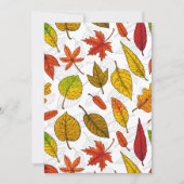 Najaarbladeren op wit (Voorkant)