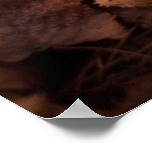 Najaarbladeren Poster (Hoek)