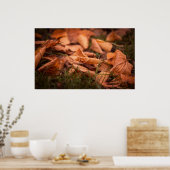 Najaarbladeren Poster (Keuken)