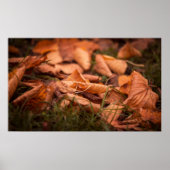 Najaarbladeren Poster (Voorkant)