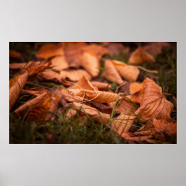 Najaarbladeren Poster