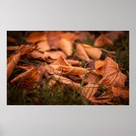 Najaarbladeren Poster (Voorkant)
