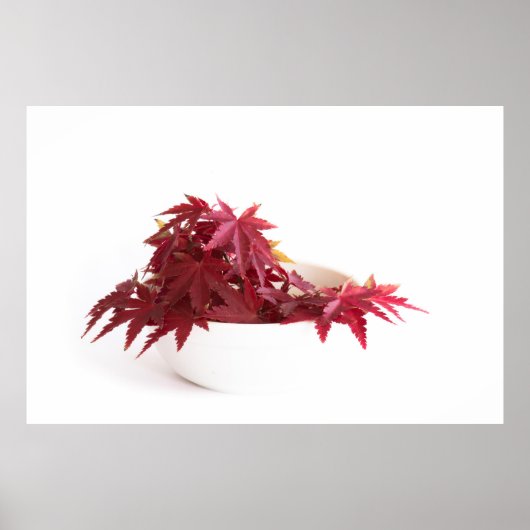 Najaarbladeren Poster (Voorkant)