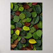 Najaarbladeren Poster (Voorkant)