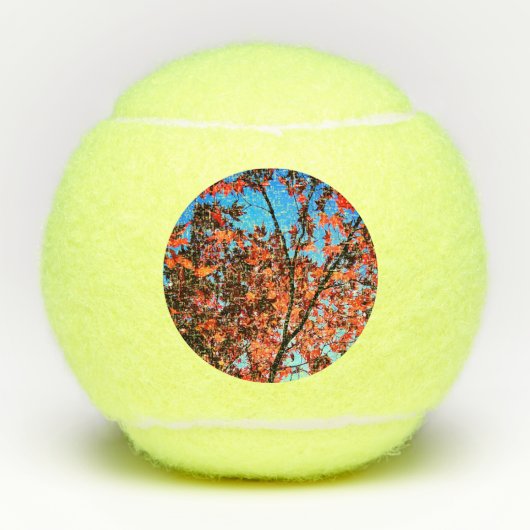Najaarbladeren Tennisballen (Voorkant)