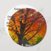 Najaarbladeren van geel en Sinaasappel Kaart (Voorkant / Achterkant)