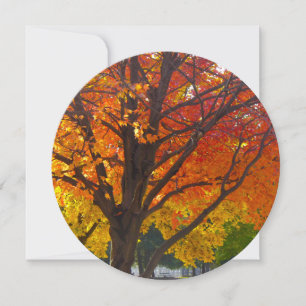 Najaarbladeren van geel en Sinaasappel Kaart