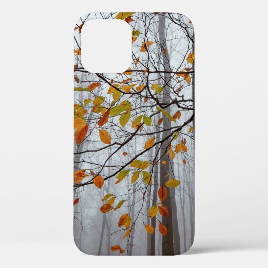 Najaarbladeren van gestorven bosbladeren Case-Mate iPhone case (Achterkant)