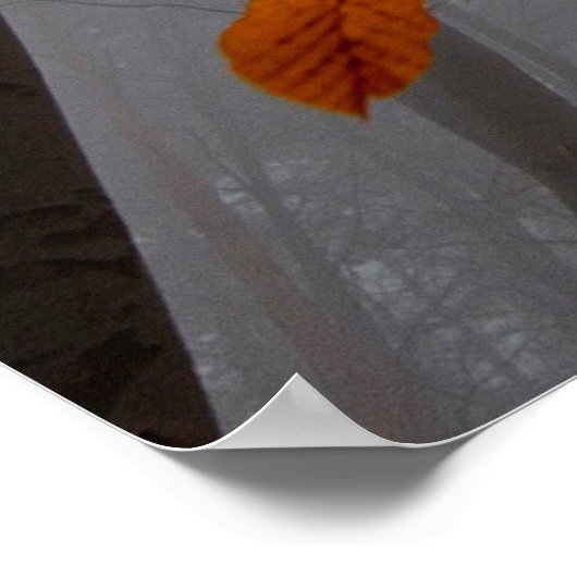 Najaarbladeren van gestorven bosbladeren poster (Hoek)