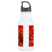 Najaarbladeren Waterfles (Achterkant)