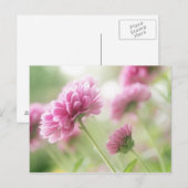 Najaarbloemen Briefkaart (Voorkant / Achterkant)