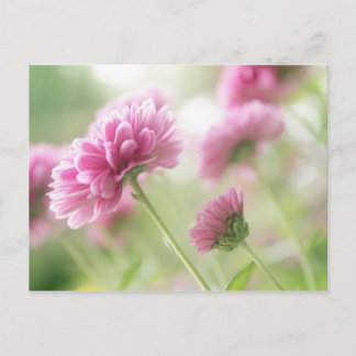 Najaarbloemen Briefkaart