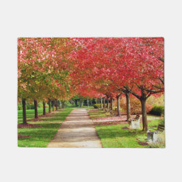 Najaarbomen langs de foto van de Weg Deurmat