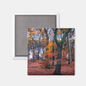 Najaarbomen Magneet (Voorkant / Achterkant)