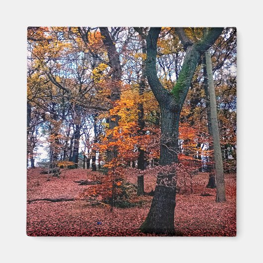 Najaarbomen Magneet (Voorkant)