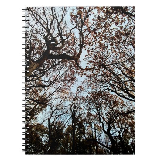 Najaarbomen Notitieboek (Voorkant)