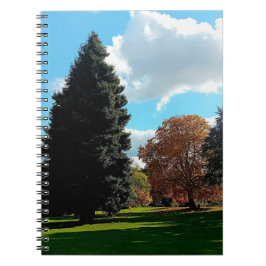 Najaarbomen Notitieboek