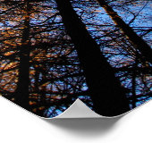 Najaarbomen op zonsondergang poster (Hoek)