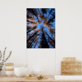 Najaarbomen op zonsondergang poster (Keuken)