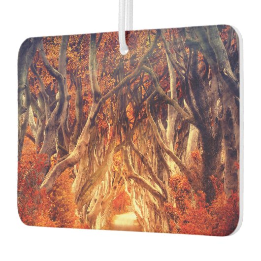 Najaarbosboombladeren bossen herfst luchtverfrisser (Links)